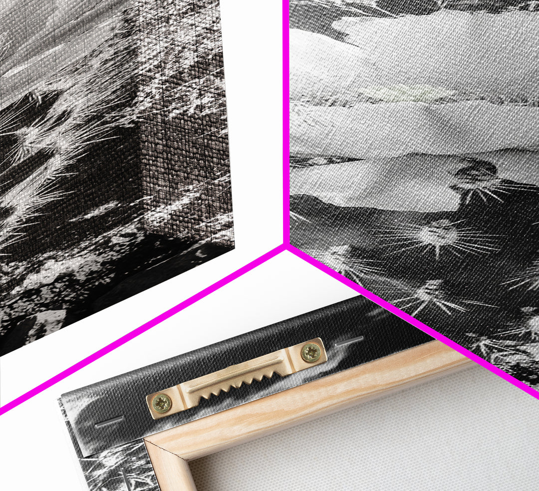 Desert Bloom Cactus, Southwest Art, Nature Floral Print, Cactus Photography, Framed Canvas Print, Kitchen Wall Art, Boho Wall Decor