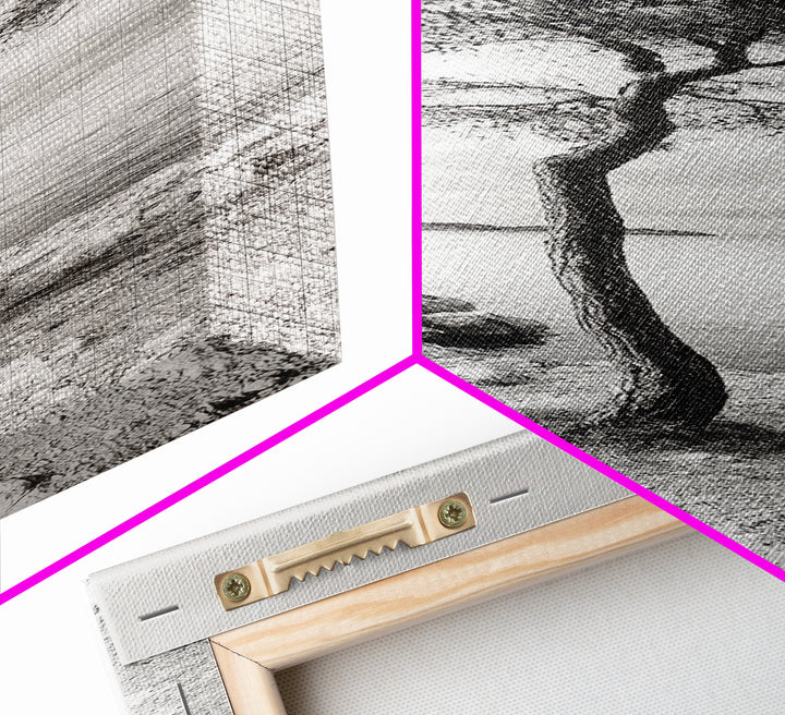 Coastal Tree, Seaside Calm, Lone Pine, Framed Canvas Print, Neutral Wall Art, Minimalist Decor, Nature Inspired Bedroom Print