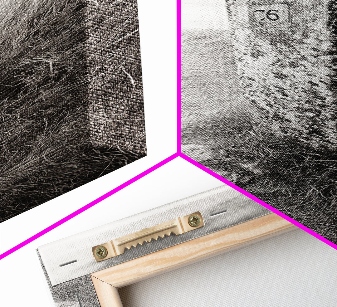 Rural Path, Weathered Stone, Grassy Trail, Framed Canvas Print, Rustic Nature Wall Art, Minimalist Entryway Decor, Autumn Landscape Art