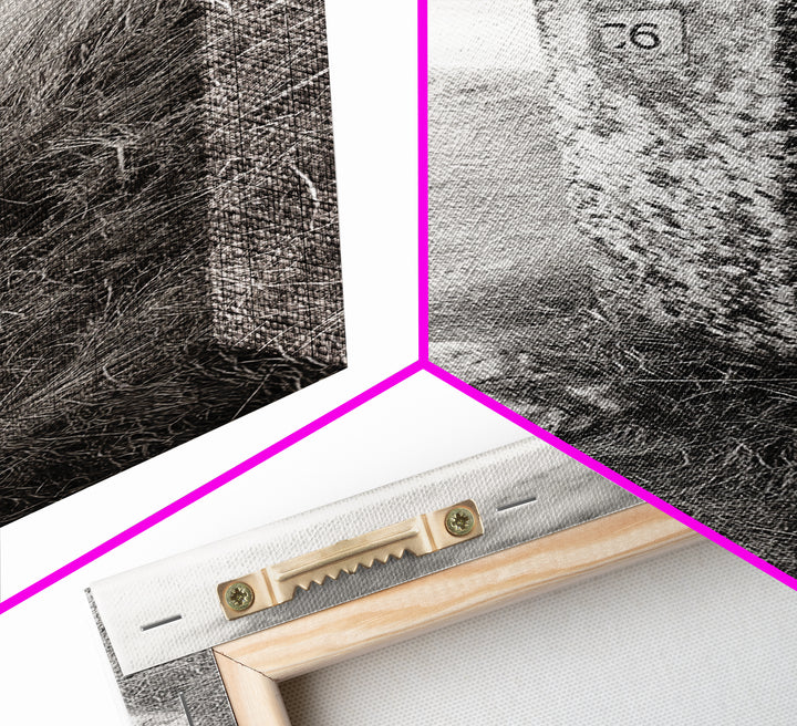 Rural Path, Weathered Stone, Grassy Trail, Framed Canvas Print, Rustic Nature Wall Art, Minimalist Entryway Decor, Autumn Landscape Art