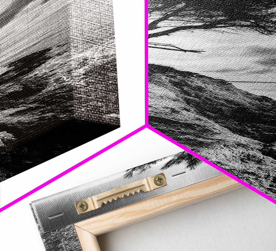 Cliff Tree, Coastal Roots, Dramatic Landscape, Framed Canvas Print, Bold Nature Wall Art, Modern Black And White Decor, Fall Office Accent