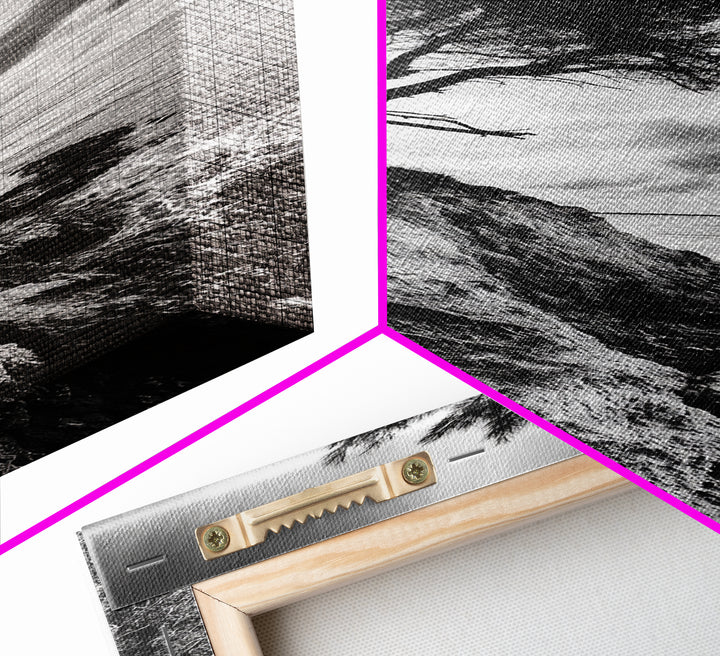 Cliff Tree, Coastal Roots, Dramatic Landscape, Framed Canvas Print, Bold Nature Wall Art, Modern Black And White Decor, Fall Office Accent