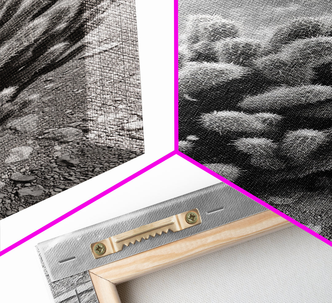 Desert Cactus, Nature Photography, Black White Art, Canvas Print, Boho Western Wall Decor, Modern Rustic Living Room Art, Nature Print