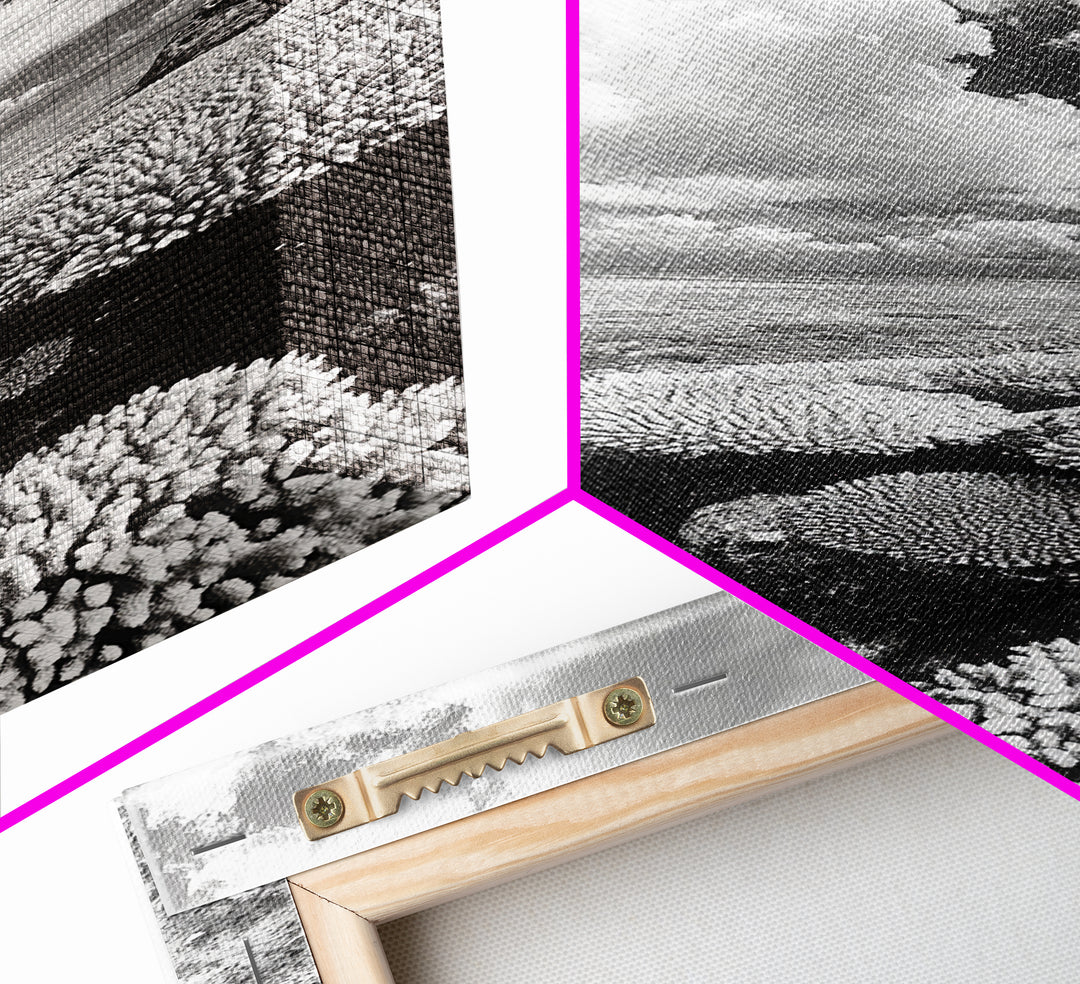 Coral Reef, Ocean Horizon, Puffy Clouds, Framed Canvas Print, Coastal Bathroom Art, Nautical Decor, Black and White Beach Style