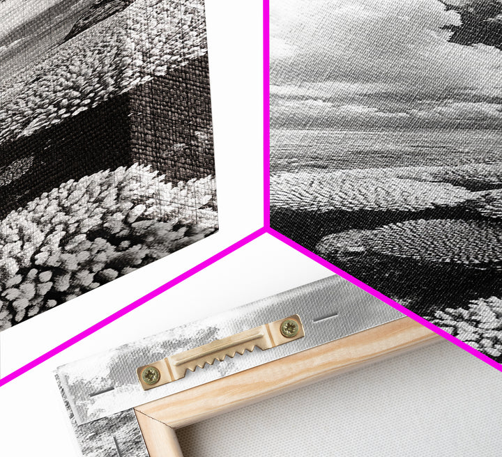 Coral Reef, Ocean Horizon, Puffy Clouds, Framed Canvas Print, Coastal Bathroom Art, Nautical Decor, Black and White Beach Style