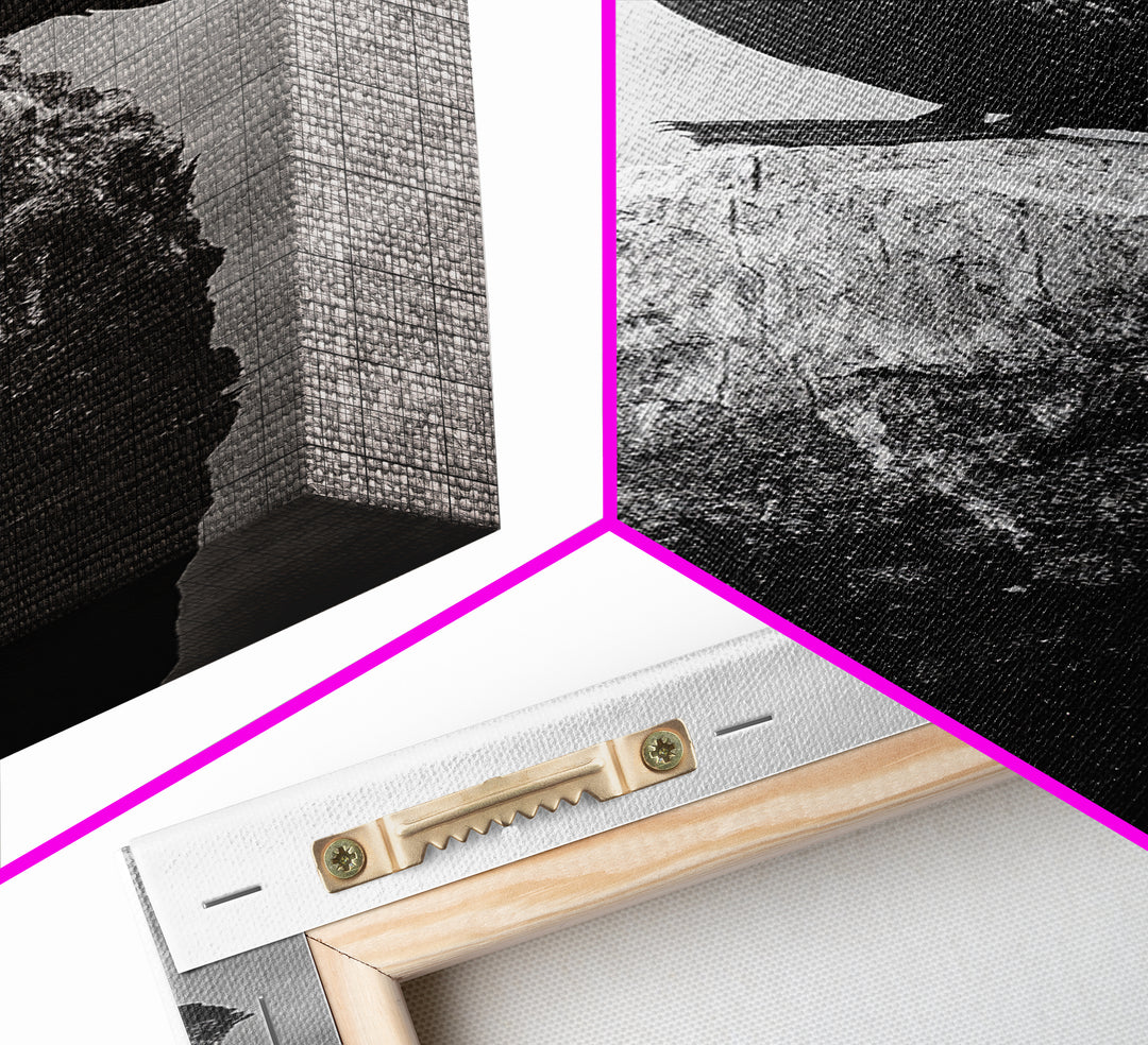 Cormorant Bird, Driftwood Perch, Moody Sky, Framed Canvas Print, Coastal Wildlife Wall Art, Nature Lover Gift, Rustic Room Decor