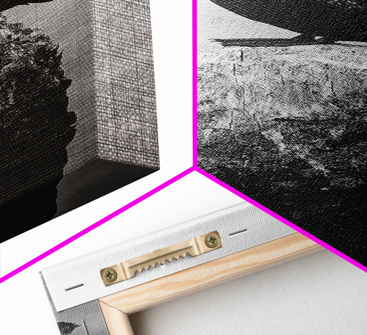 Cormorant Bird, Driftwood Perch, Moody Sky, Framed Canvas Print, Coastal Wildlife Wall Art, Nature Lover Gift, Rustic Room Decor