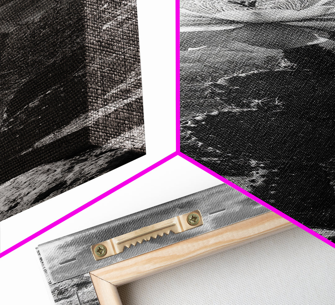 Desert Flower, Cactus Bloom, Southwest Charm, Bold Nature Art, Framed Canvas Print, Kitchen Wall Art, Boho Western Home Decor