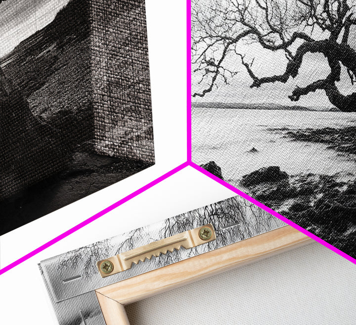 Coastal Tree, Tidal Shore, Windswept Beauty, Natural Balance, Framed Canvas Print, Bedroom Wall Art, Boho Decor, Serene Seascape