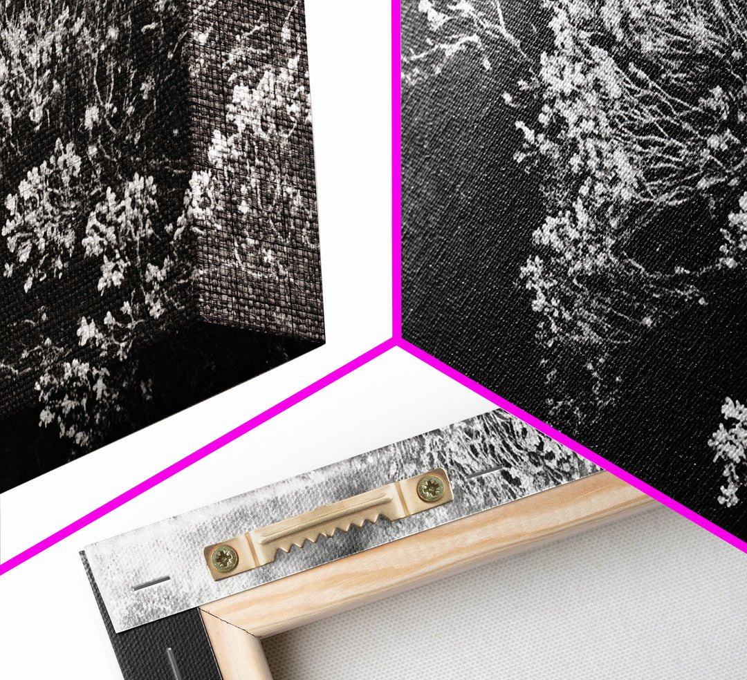 Botanical Texture, Nature Closeup Art, Modern Organic Aesthetic, Framed Canvas Print, Bedroom Wall Art, Neutral Boho Wall Decor