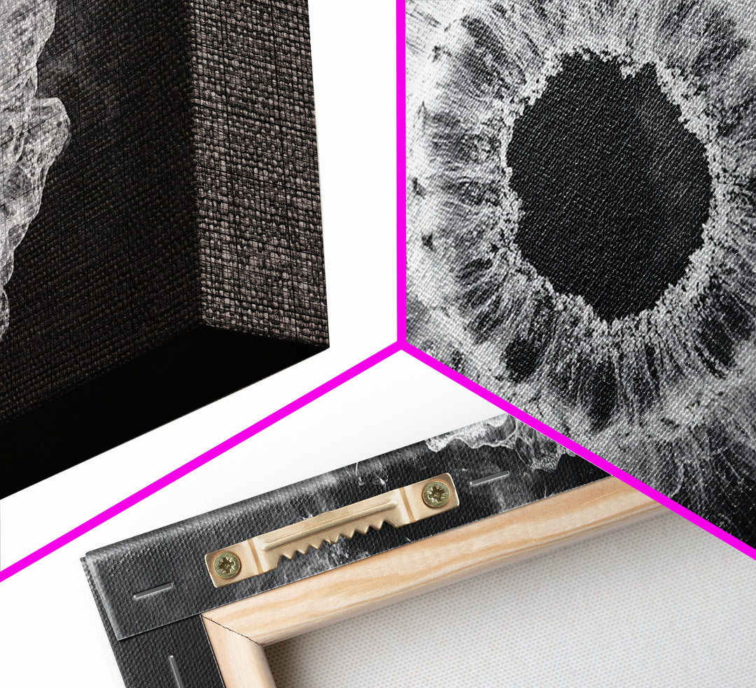 Abstract Smoke Art, Modern Monochrome, Ink Explosion, Minimalist Wall Decor, Framed Canvas Print, Living Room Wall Art, Moody Aesthetic