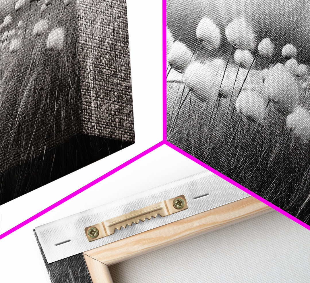 Cotton Grass Field, Stormy Sky Art, Botanical Monochrome, Minimalist Nature Print, Framed Canvas Print, Bedroom Wall Art, Nordic Style