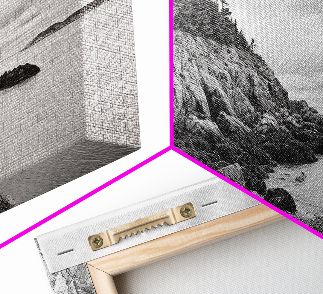 Rocky Shore, Coastal Forest, Black White Landscape, Nature Wall Decor, Framed Canvas Print, Cabin Living Room Art, Fall Inspired Scene