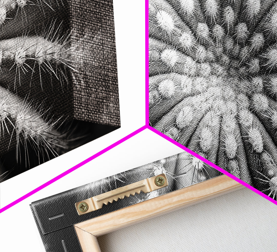 Cactus Spiral, Desert Bloom, Nature Closeup, Modern Decor, Framed Canvas Print, Minimalist Botanical Art, Office Wall Art, Succulent Texture