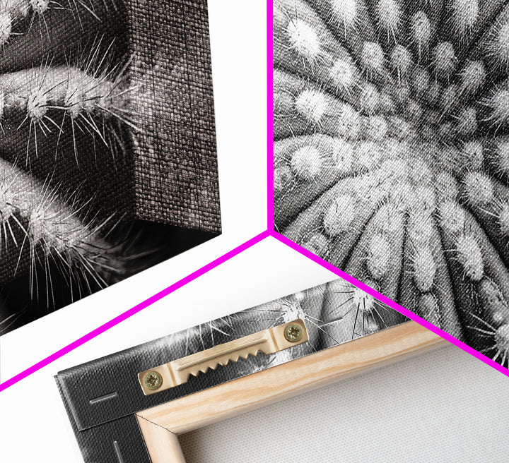 Cactus Spiral, Desert Bloom, Nature Closeup, Modern Decor, Framed Canvas Print, Minimalist Botanical Art, Office Wall Art, Succulent Texture