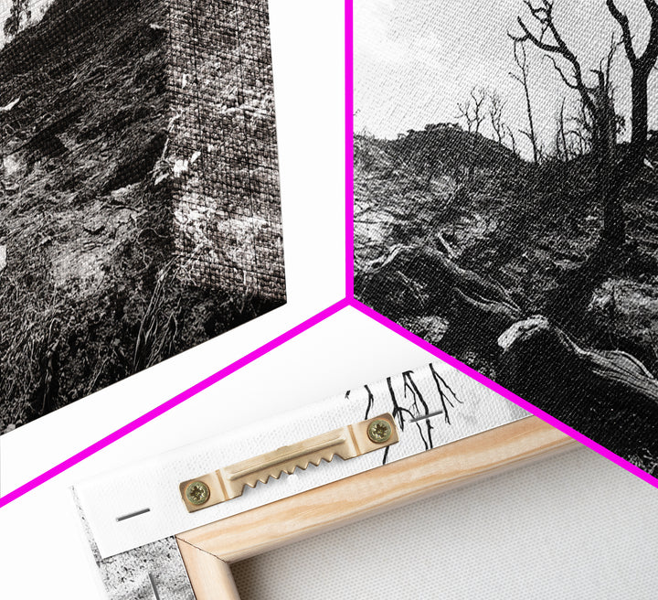 Barren Tree Landscape, Post Fire Terrain, Dystopian Forest Scene, Survival Mood, Canvas Print, Office Wall Art, Dark Nature Decor
