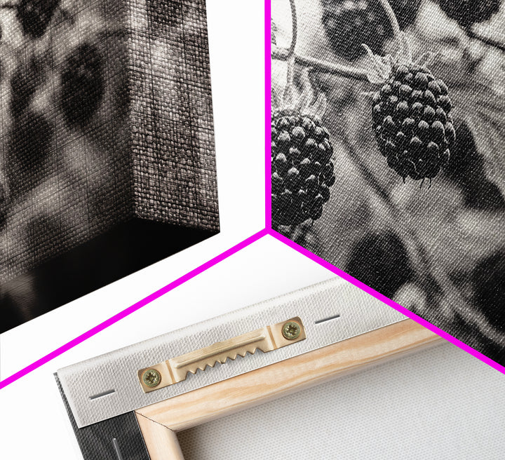 Blackberries on Vine, Farmhouse Kitchen Art, Rustic Fruit Wall Decor, Country Style, Autumn Botanical Photography, Canvas Print