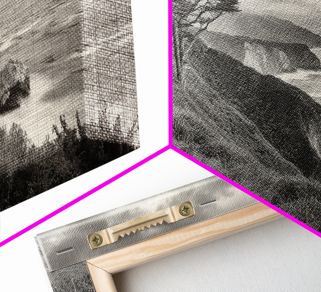 Coastal Path, Nature Trail, Ocean Cliff, Cypress Tree, Framed Canvas Print, Minimalist Wall Art, Living Room Decor, Scenic Landscape