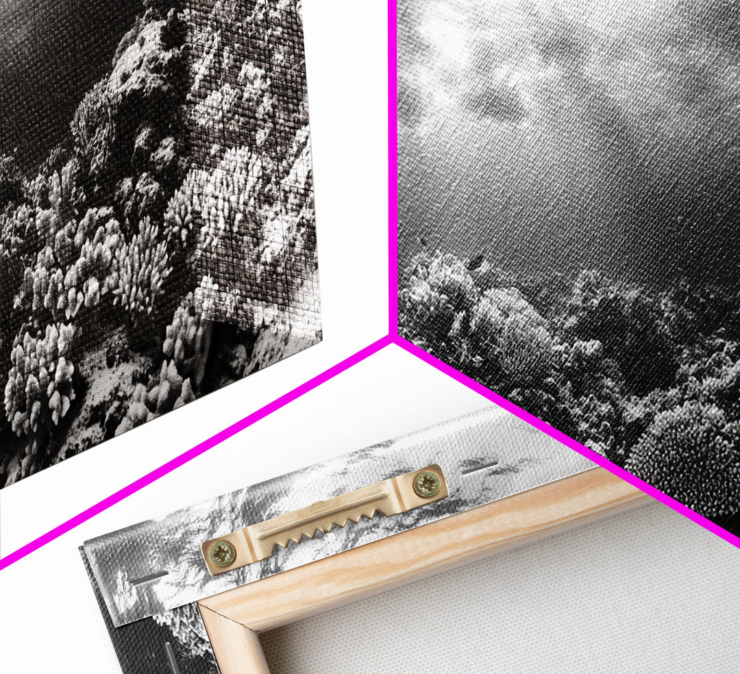 Coral Reef, Ocean Depths, Sunlight Rays, Marine Life, Canvas Print, Minimalist Nature Art, Bathroom Decor, Underwater Scene, Bedroom Wall Art