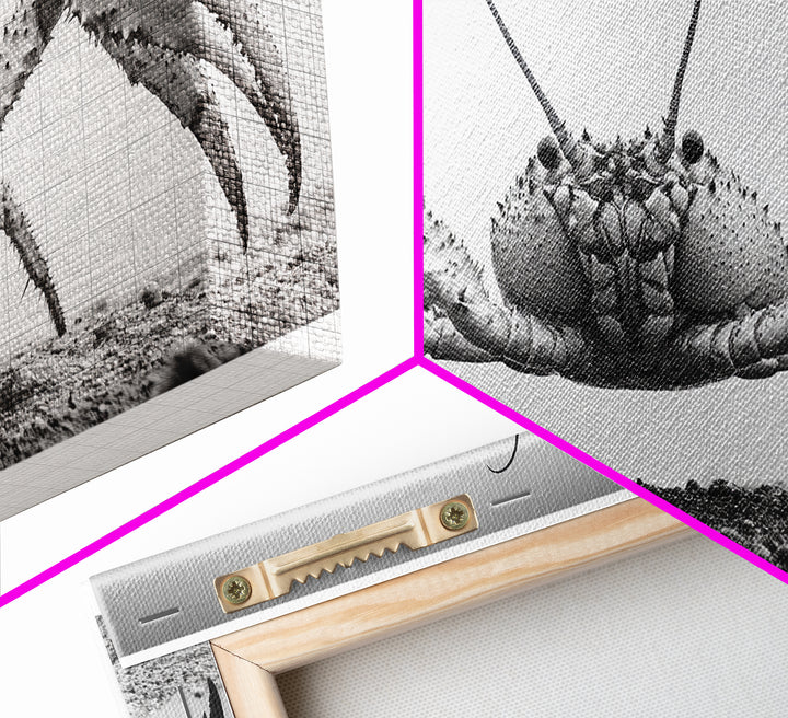 Crab Art, Beach Creature, Monochrome Photography, Nature Close-Up, Framed Canvas Print, Coastal Bathroom Art, Marine Home Style