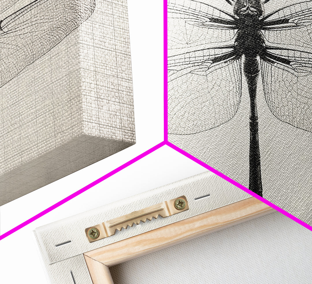 Dragonfly Sketch, Insect Art Print, Botanical Illustration, Minimalist Natural History, Framed Canvas Print, Office or Study Wall Art