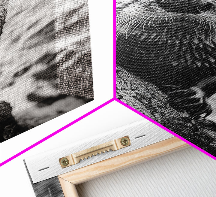 Curious Otter, Coastal Wildlife, Black and White, Animal Photography, Framed Canvas Print, Bathroom Wall Art, Nature Lover Gift