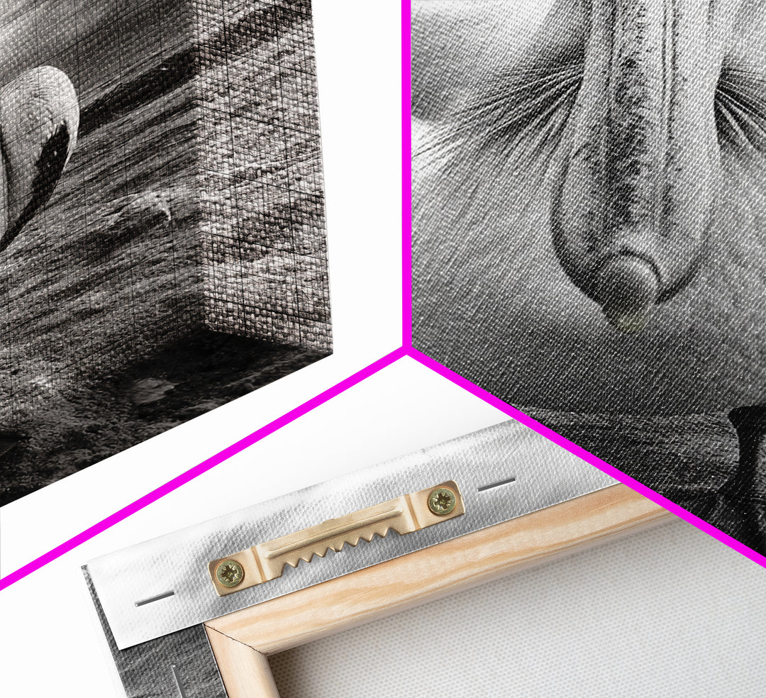 Bold Pelican, Coastal Storm, Bird Portrait, Canvas Print, wildlife wall art, beach house decor, dramatic black and white animal art