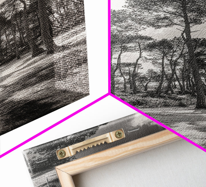 Forest Shadows, Tall Pines, Natural Light, Framed Canvas Print, woodland landscape, rustic cabin decor, autumn forest art