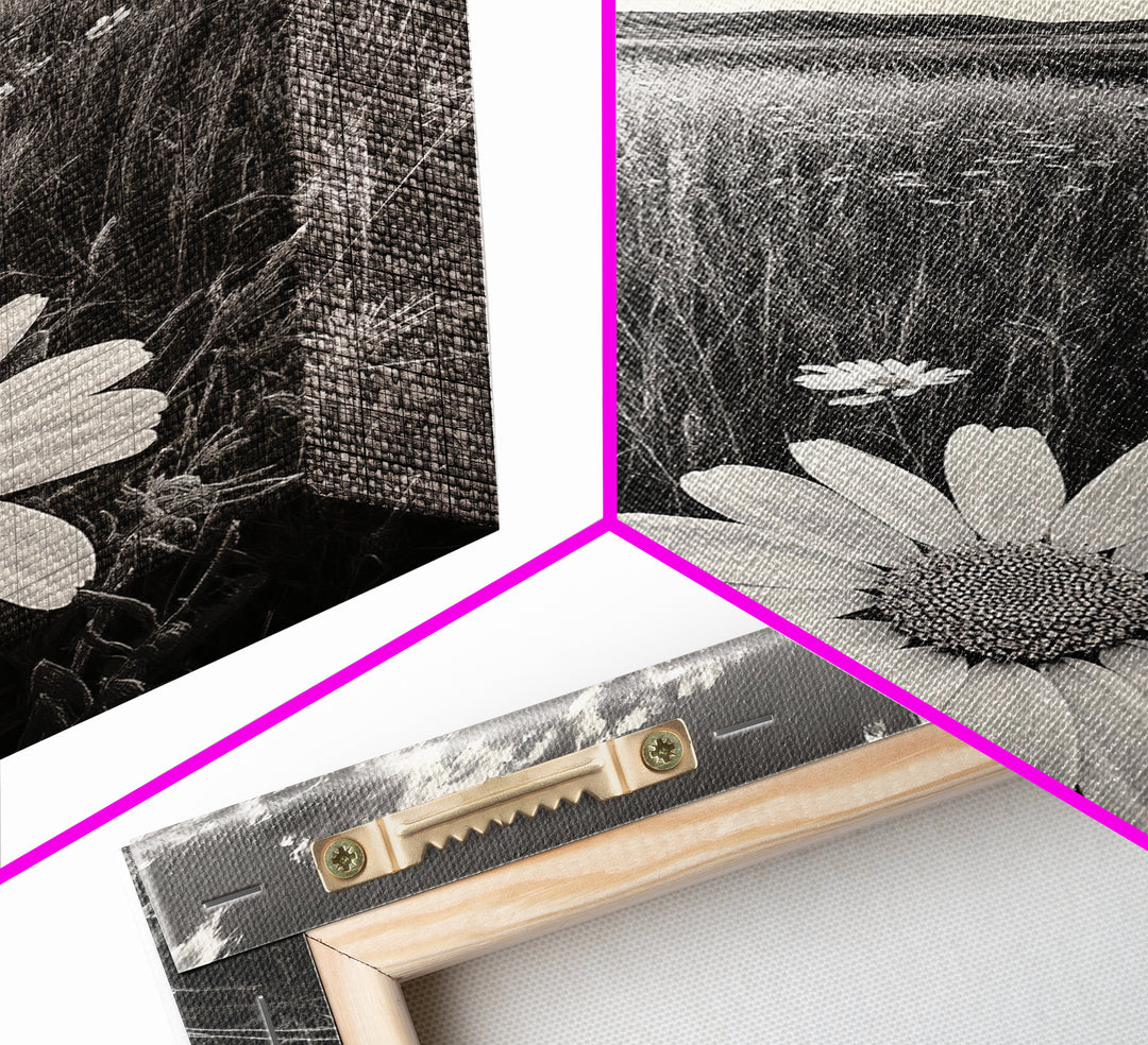 Wildflower Field, Daisy Bloom, Summer Meadow, Framed Canvas Print, Boho Botanical Wall Art, Bedroom Decor, Earthy Nature Photography