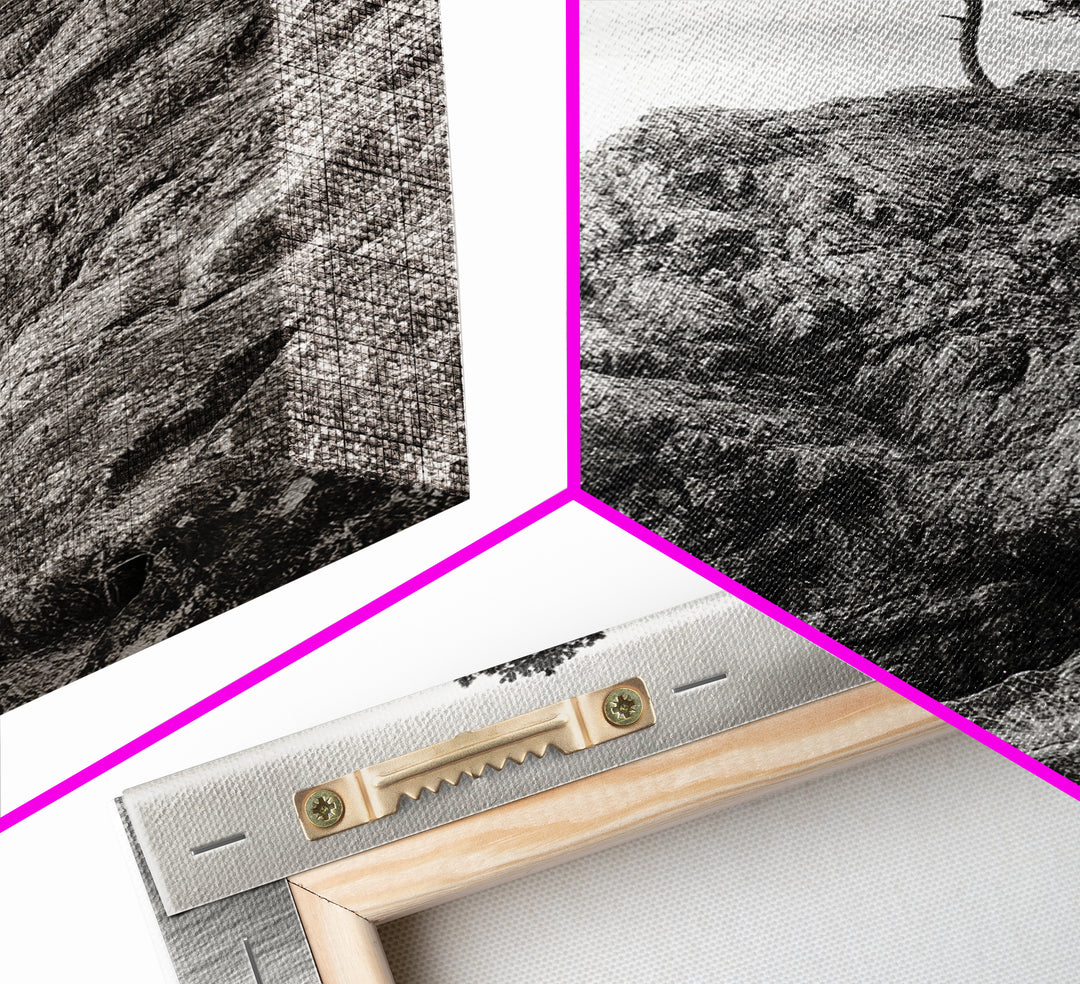 Rocky Coast, Lone Trees, Ocean View, Monochrome Calm, Framed Canvas Print, Bathroom Wall Art, Coastal Style, Minimalist Mountain Art