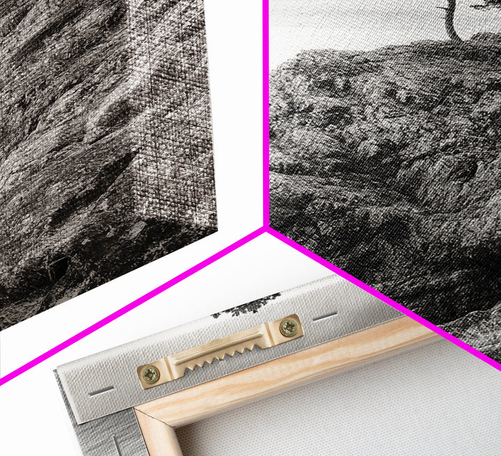 Rocky Coast, Lone Trees, Ocean View, Monochrome Calm, Framed Canvas Print, Bathroom Wall Art, Coastal Style, Minimalist Mountain Art