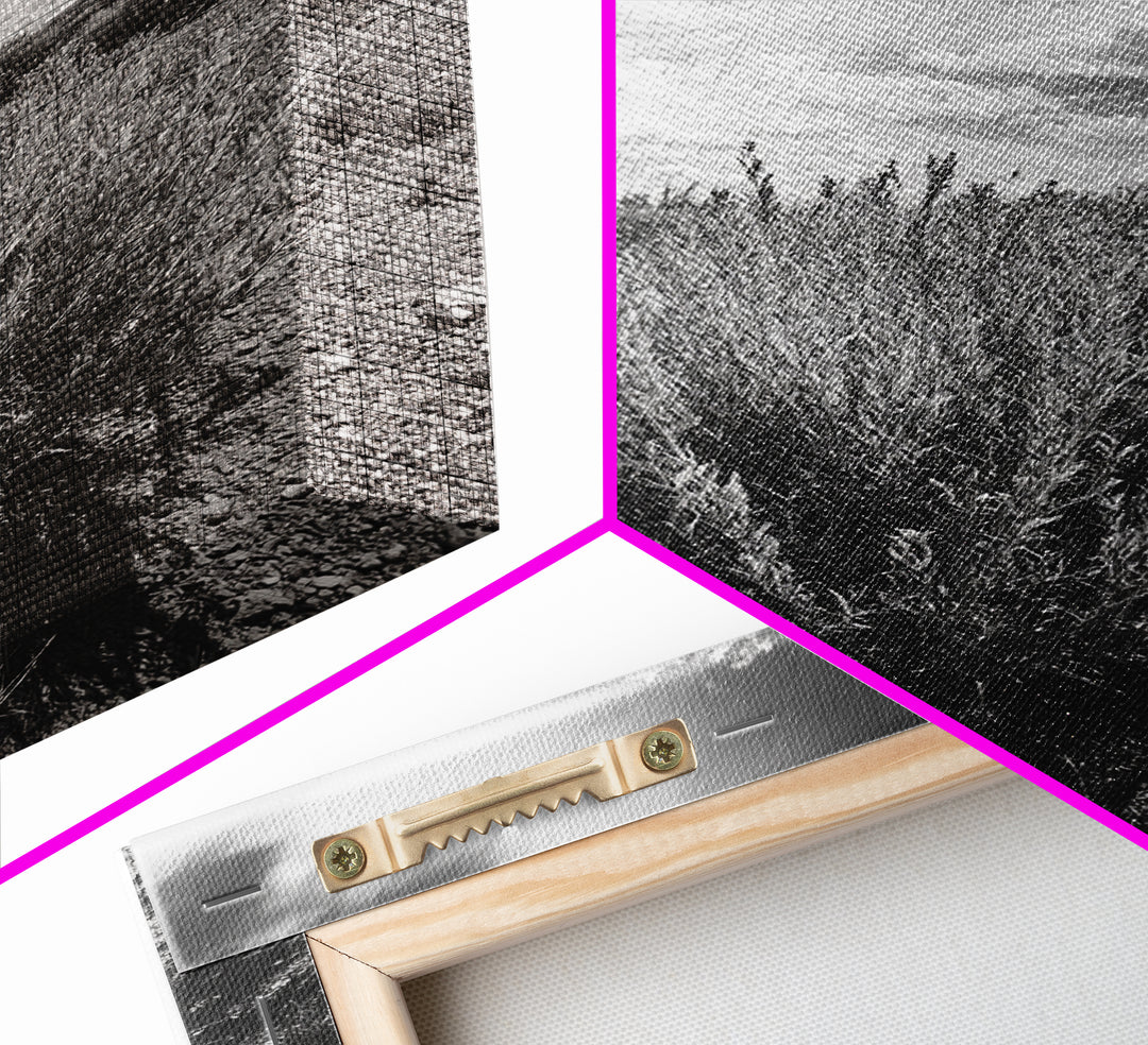 Desert Sage, Cloud Sky, Nature Wall Decor, Framed Canvas Print, Minimalist Art, Boho Style, Neutral Tones, Entryway Botanical Print