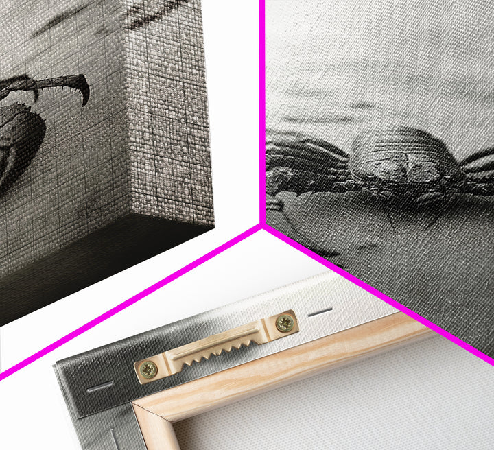 Desert Scorpion, Moody Wildlife, Sandy Ground, Focused Predator, Framed Canvas Print, edgy boho decor, masculine wall art, nature closeup