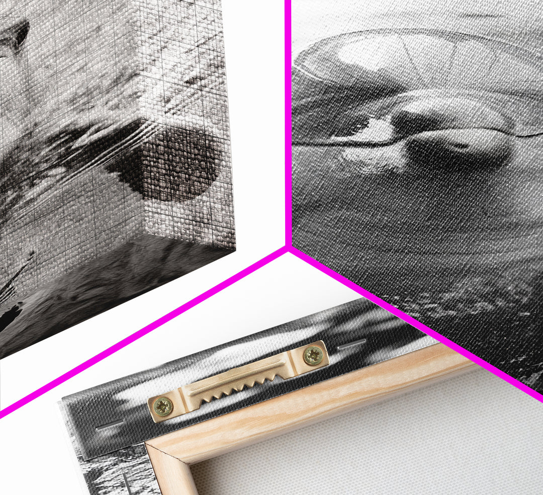 Dolphin Smile, Ocean Friend, Water Reflections, Gentle Waves, Framed Canvas Print, Kids Bathroom Art, Marine Life Decor, Playroom Artwork