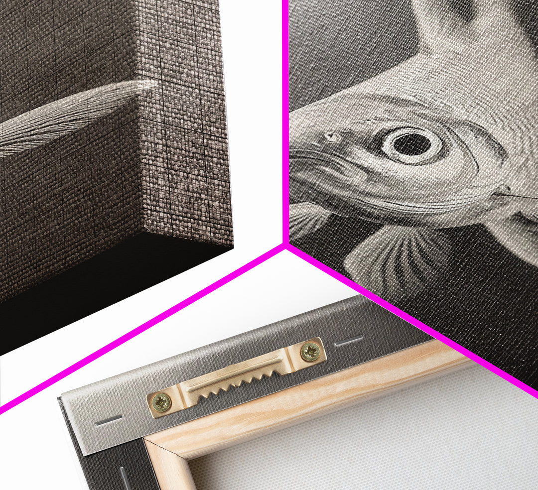 Curious Fish, Underwater Focus, Moody Marine Life, Framed Canvas Print, Bathroom Wall Art, Black and White Ocean Wildlife Decor