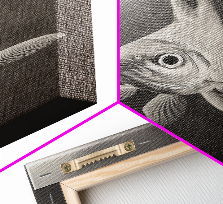 Curious Fish, Underwater Focus, Moody Marine Life, Framed Canvas Print, Bathroom Wall Art, Black and White Ocean Wildlife Decor