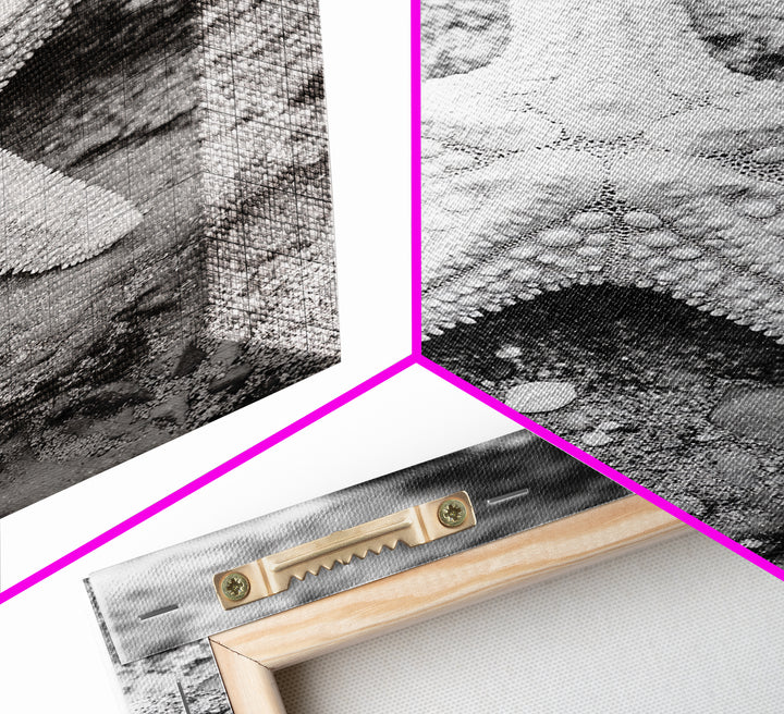 Starfish Closeup, Coastal Shell, Beach Texture, Framed Canvas Print, Bathroom or Ocean Nursery Decor, Minimal Beach Art