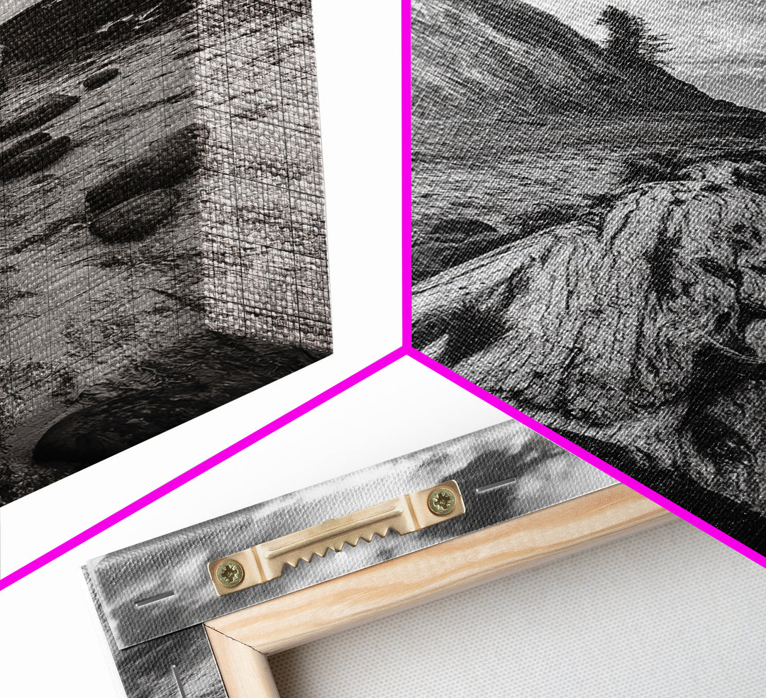 Driftwood Coastal Trail, Cliffside Path Nature Art, Rustic Cabin Style, Black White Photography, Framed Canvas Print, Hallway Wall Decor