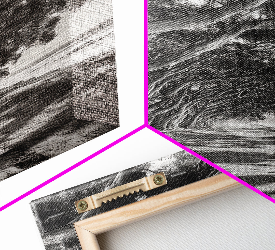 Coastal Tree Path, Nature Shadows, Ocean Breeze, Autumn Light, Framed Canvas Print, Living Room Wall Art, Moody Landscape Photography