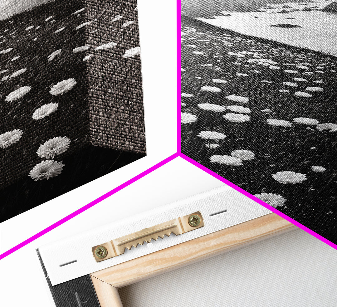 Daisy Cliffside Bloom, Coastal Flowers, Peaceful Nature Scene, Framed Canvas Print, Bedroom Wall Art, Botanical Decor, Minimalist Style