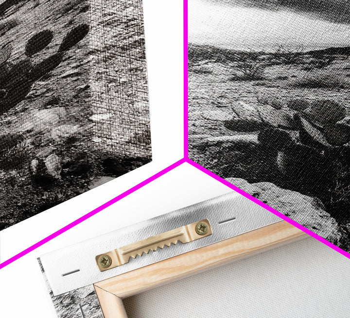 Desert Storm, Cactus Scene, Black White Art, Canvas Print, Southwest Wall Art, Earthy Tones Decor, Boho Style, Entryway Wall Accent