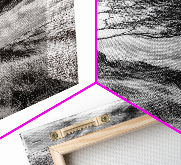Windswept Tree, Coastal Landscape, Stormy Sky, Framed Canvas Print, Modern Rustic Wall Art, Nature Photography, Bedroom Wall Accent