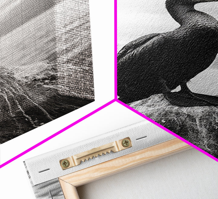 Coastal Bird Portrait, Nature Minimalism, Lake Decor, Monochrome Wildlife, Framed Canvas Print, Bedroom Wall Art, Bird Photography Print