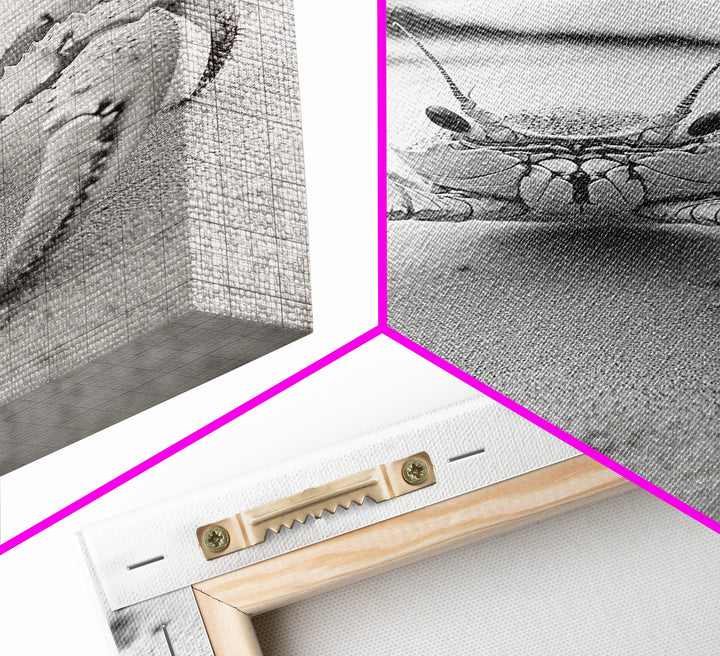 Beach Crab Portrait, Closeup Ocean Art, Tropical Minimalism, Coastal Creature Photo, Framed Canvas Print, Bathroom Wall Decor, Marine Decor