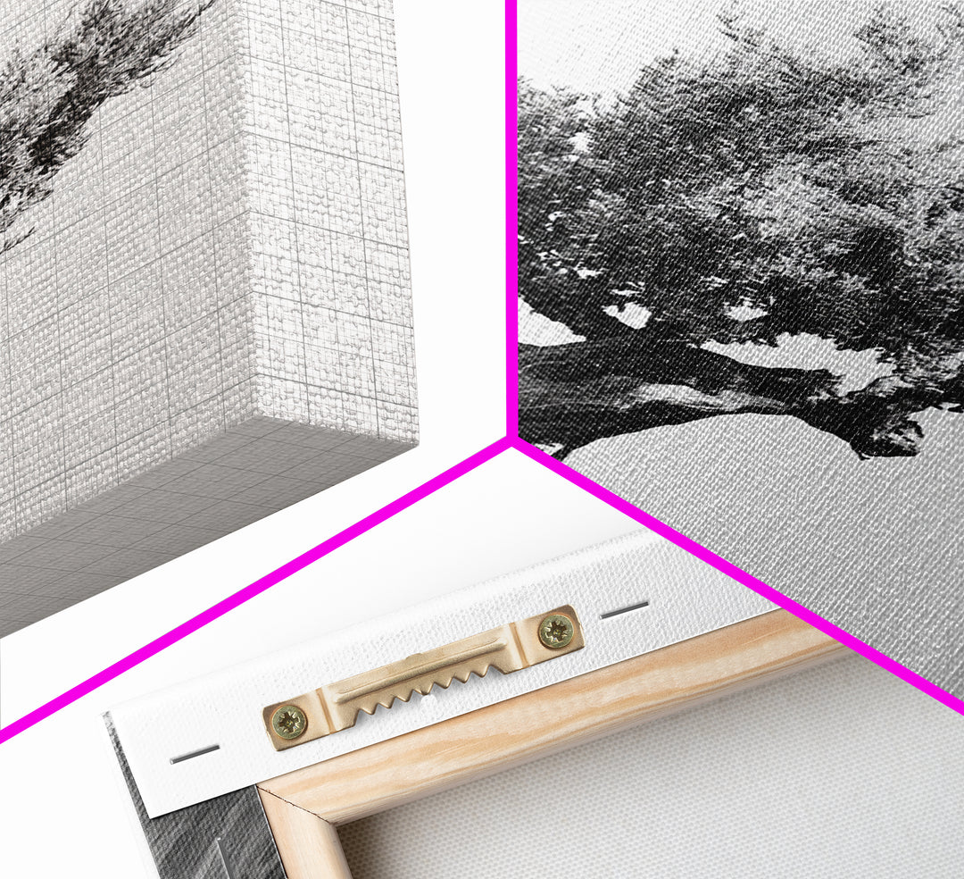 Bonsai Tree, Windswept Wood, Minimal Zen, Canvas Print, Japanese Style Art, Wabi Sabi Decor, Monochrome Botanical Wall Accent