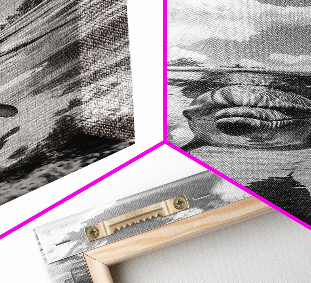 Dolphin Play, Ocean Joy, Underwater View, Canvas Print, Nautical Wall Art, Coastal Bathroom Decor, Playful Beach House Style