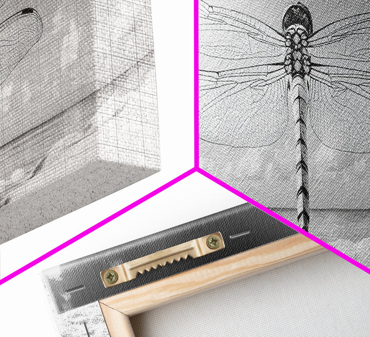 Dragonfly Beach Art, Detailed Insect Wings, Nature Wall Decor, Framed Canvas Print, Boho Bedroom Art, Minimal Wildlife Photography