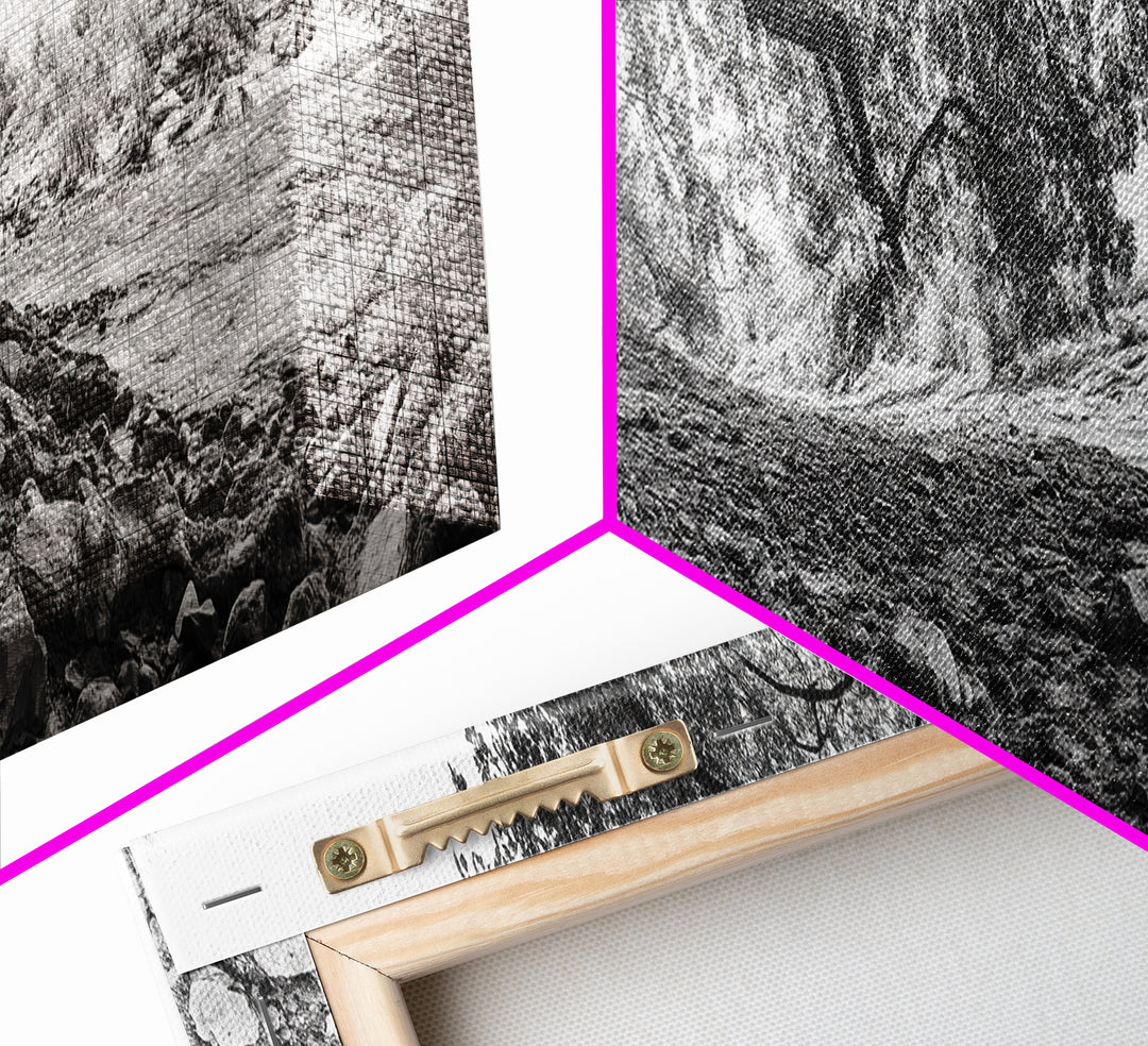 River Tree Roots, Tranquil Forest Landscape, Nature Wall Decor, Framed Canvas Print, Living Room Art, Black and White Earthy Style