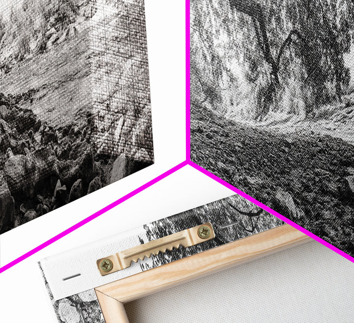 River Tree Roots, Tranquil Forest Landscape, Nature Wall Decor, Framed Canvas Print, Living Room Art, Black and White Earthy Style