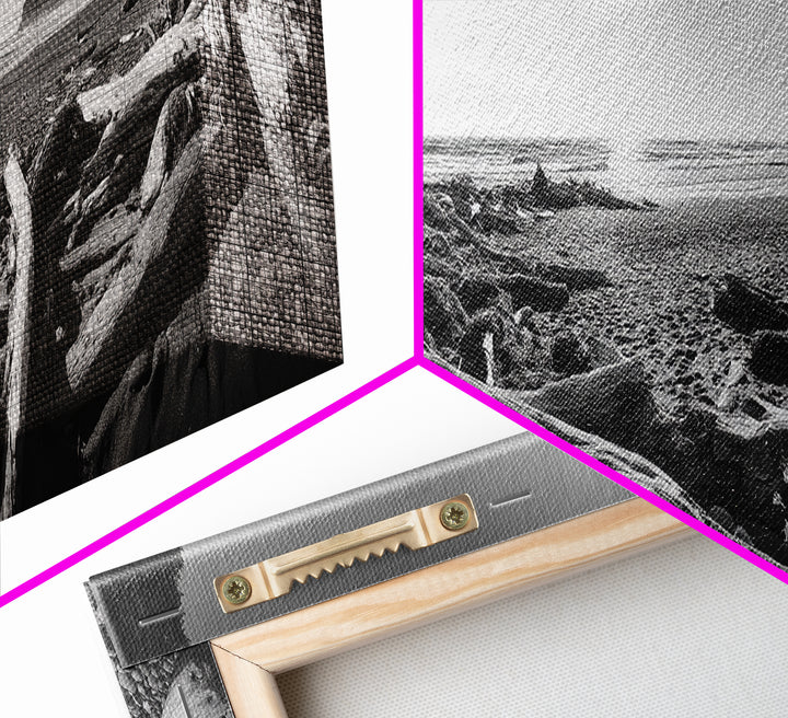 Coastal Driftwood Scene, Rugged Ocean Beach, Moody Nature Landscape, Framed Canvas Print, Rustic Wall Decor, Fall Coastal Photography